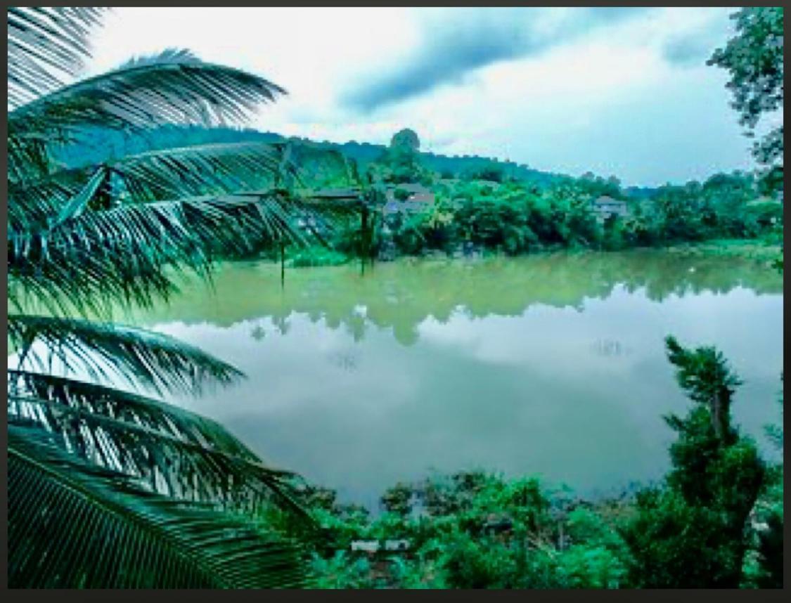 Amanzi Residence Kandy Luaran gambar