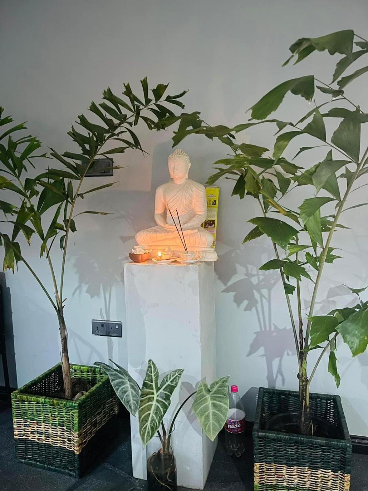 Amanzi Residence Kandy Luaran gambar