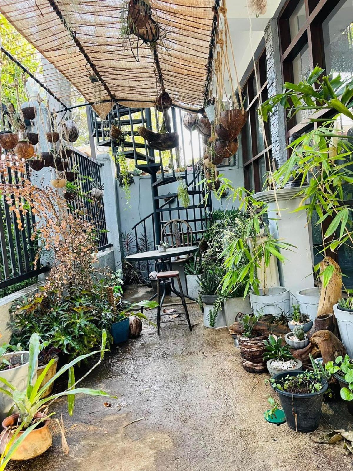 Amanzi Residence Kandy Luaran gambar